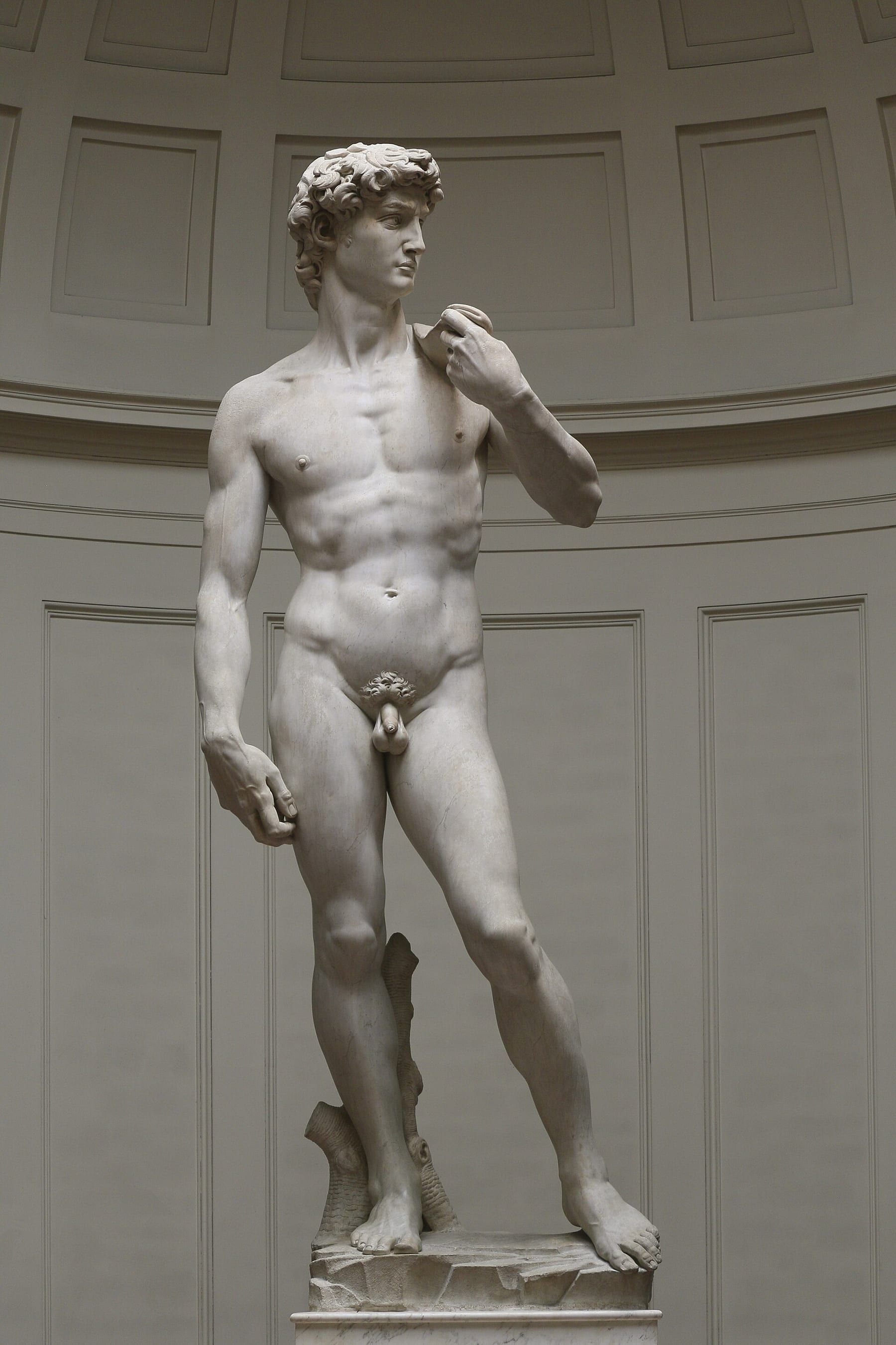 All’Accademia il David di Michelangelo; al Bargello i David sono di Donatello